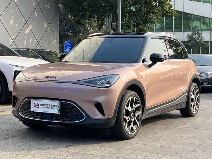 Фото 1 - Smart #1