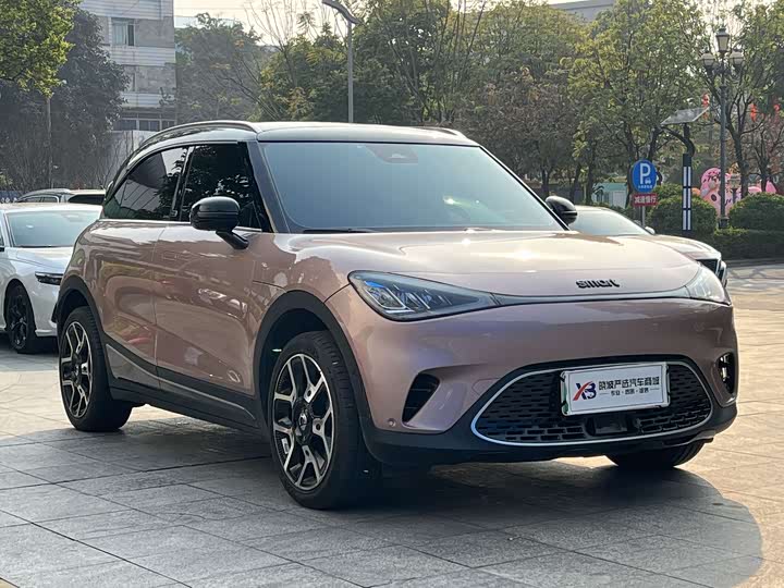 Фото 2 - Smart #1