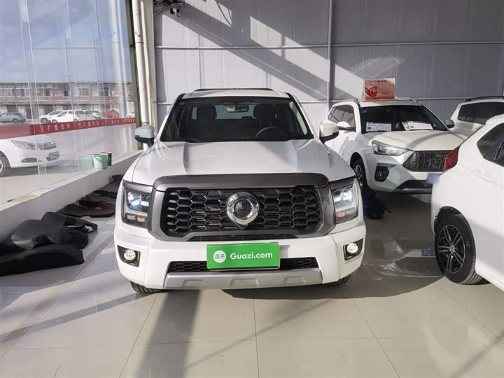 Фото 3 - Great Wall King Kong Poer