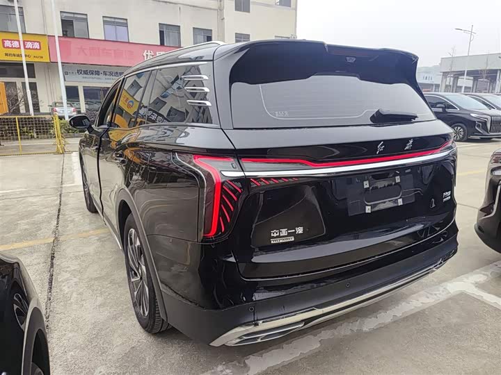 Фото 5 - Hongqi HS7 Hybrid
