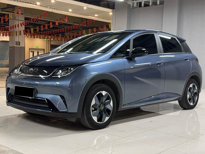 Фото 1 - BYD Dolphin