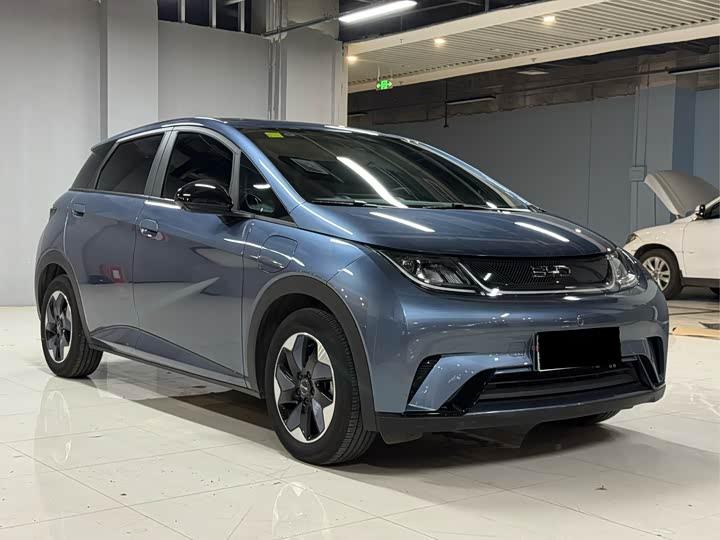 Фото 3 - BYD Dolphin