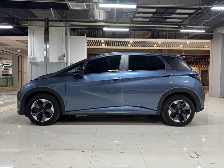 Фото 4 - BYD Dolphin