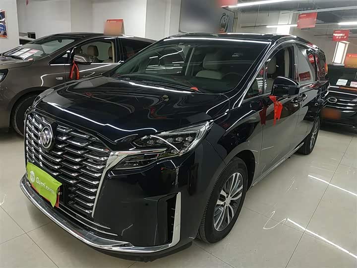 Фото 2 - Buick GL8 ES