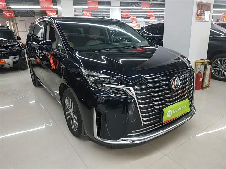 Фото 4 - Buick GL8 ES