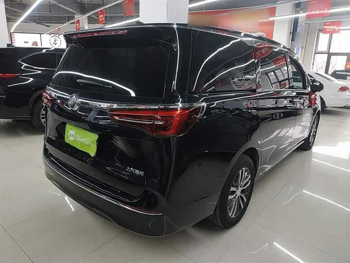 Фото 7 - Buick GL8 ES