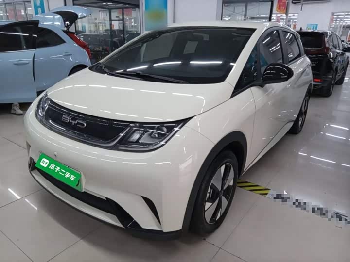 Фото 2 - BYD Dolphin