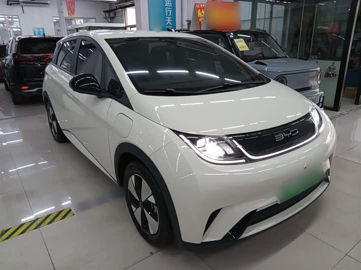 Фото 4 - BYD Dolphin