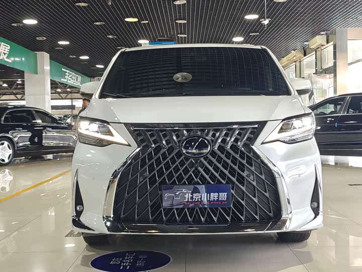 Фото 2 - Lexus LM