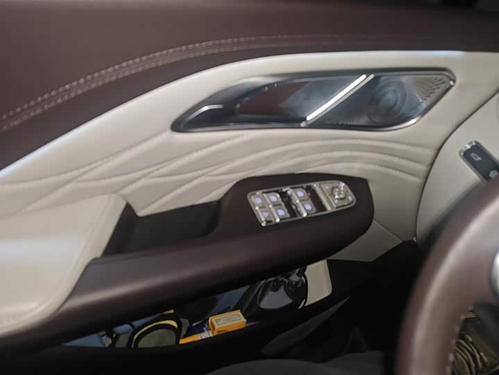 Фото 7 - Hongqi HQ9