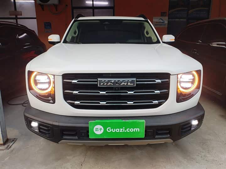 Фото 3 - Haval Dargo