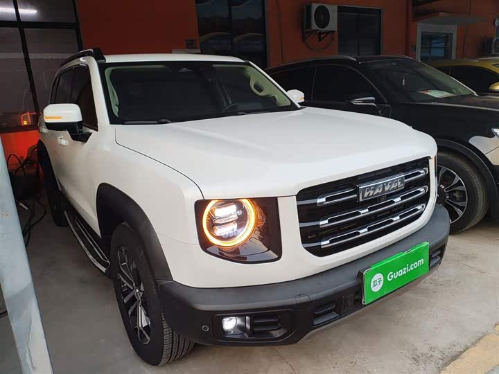Фото 4 - Haval Dargo