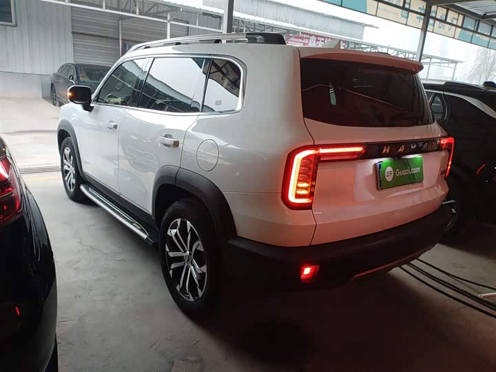 Фото 5 - Haval Dargo