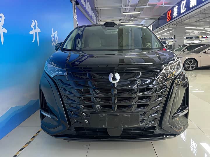 Фото 1 - Denza D9