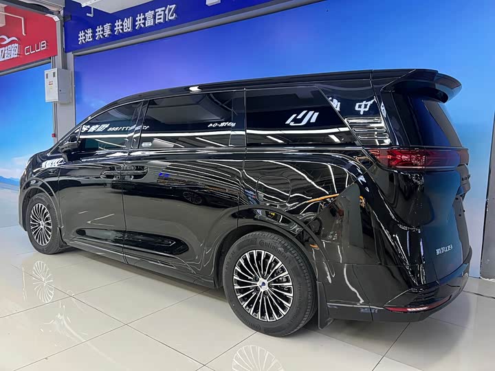 Фото 4 - Denza D9