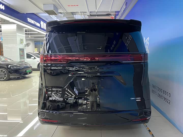 Фото 5 - Denza D9