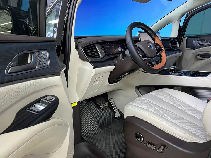 Фото 6 - Denza D9