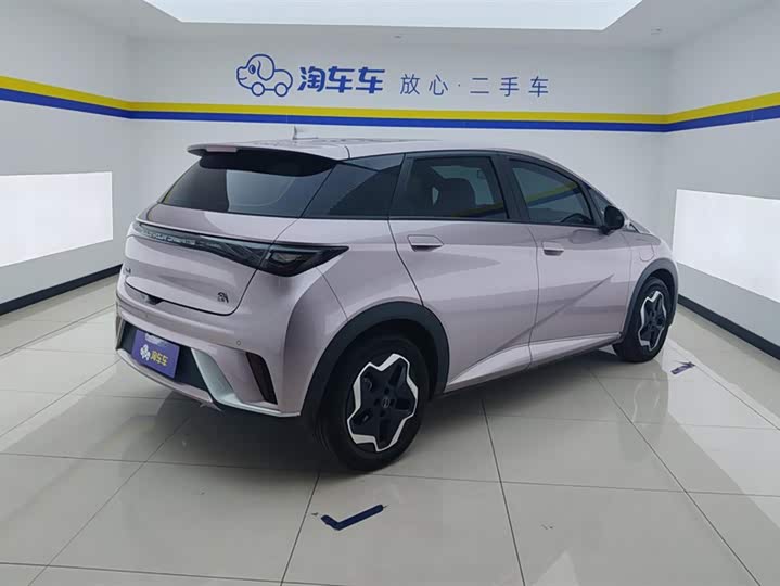 Фото 3 - BYD Dolphin