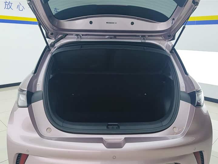 Фото 4 - BYD Dolphin