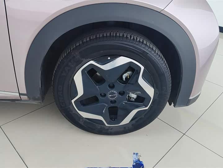 Фото 6 - BYD Dolphin