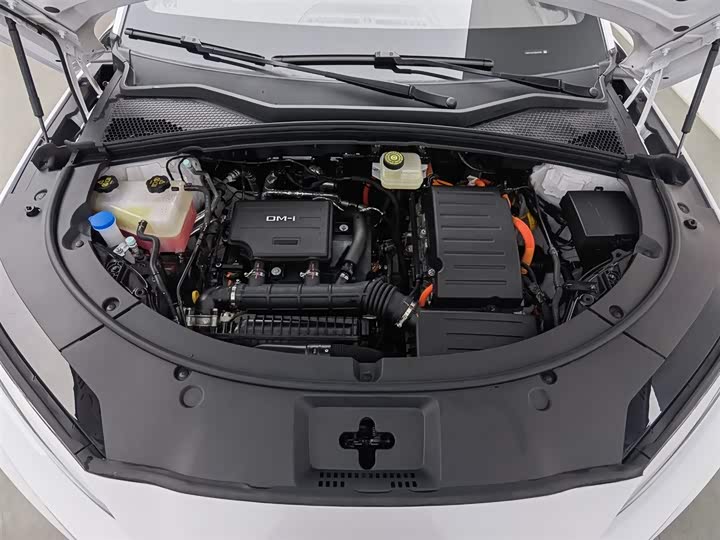 Фото 6 - BYD Song Plus Hybrid/EV