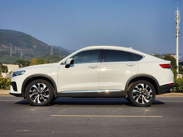 Фото 4 - Geely Tugella S