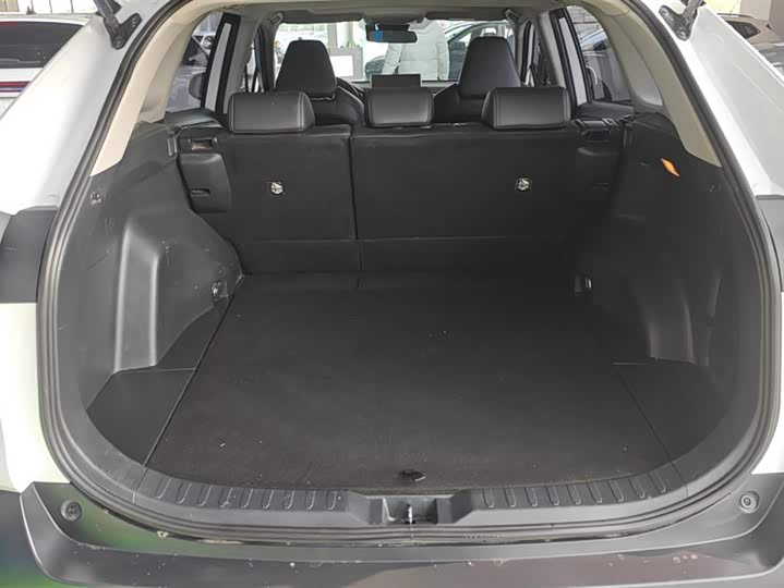 Фото 4 - Toyota Wildlander