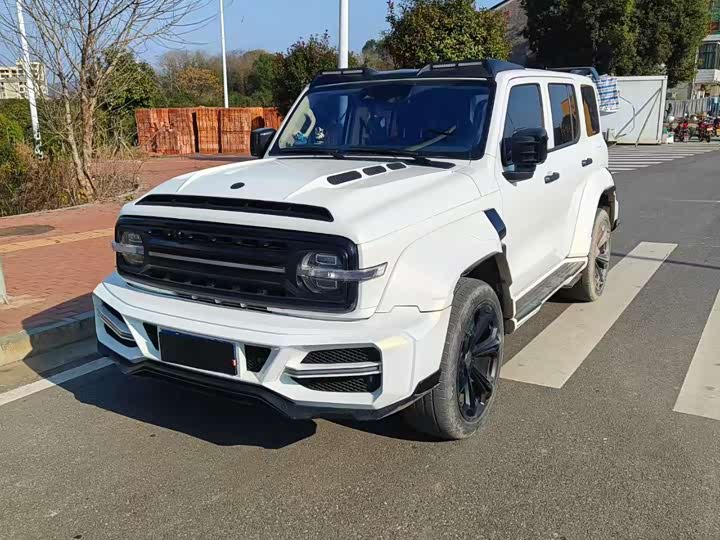 Фото 1 - Tank 300