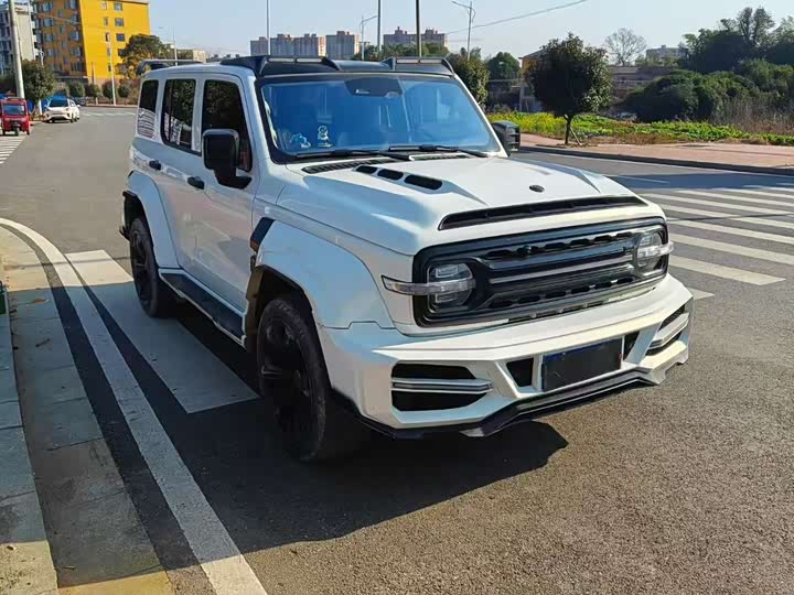 Фото 6 - Tank 300