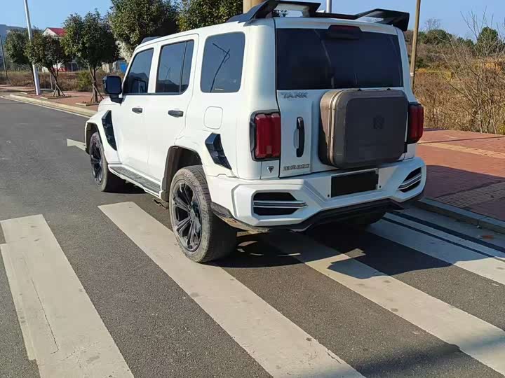 Фото 7 - Tank 300