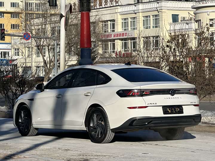 Фото 7 - Volkswagen Lamando L