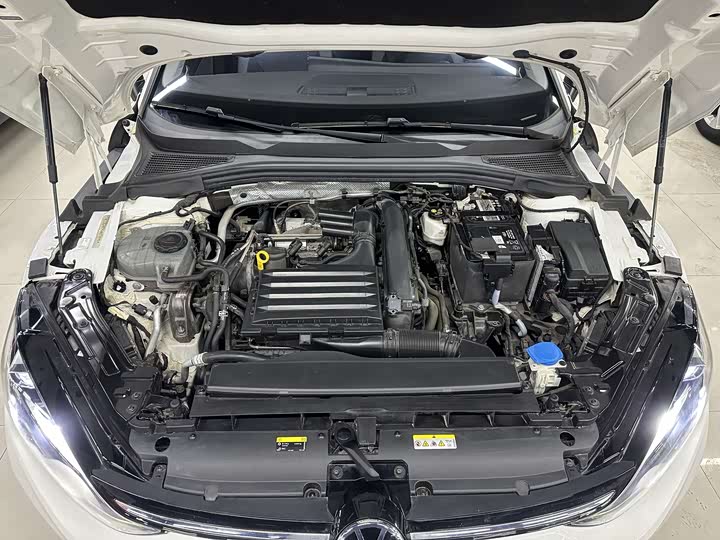 Фото 9 - Volkswagen Lamando L