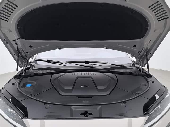 Фото 6 - BYD Song Plus Hybrid/EV