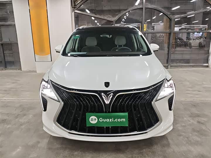 Фото 3 - Dongfeng Forthing Yacht