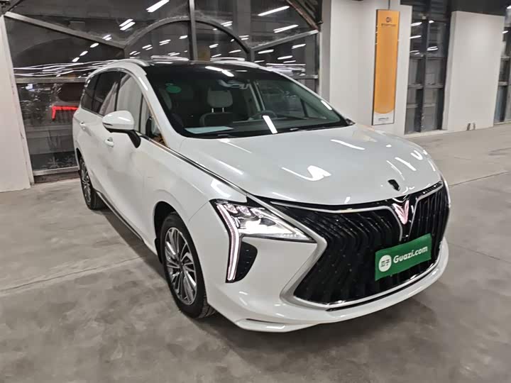 Фото 4 - Dongfeng Forthing Yacht