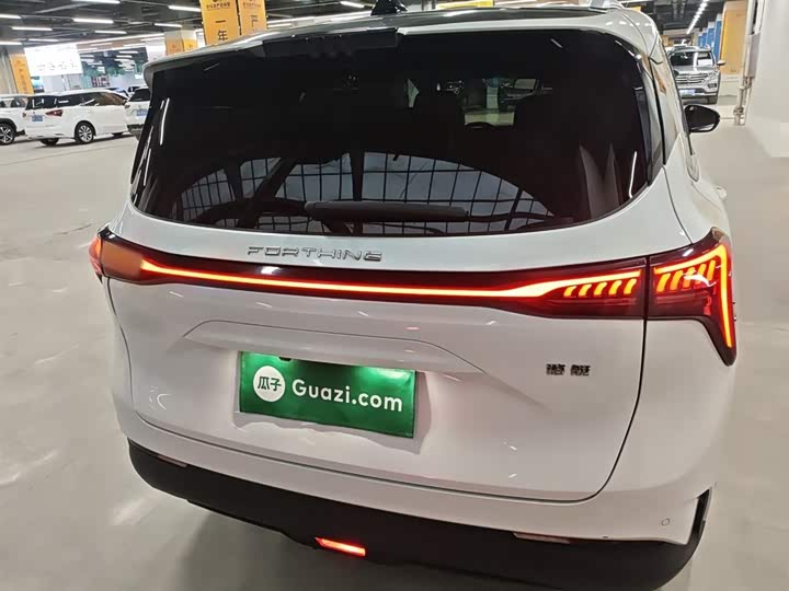 Фото 6 - Dongfeng Forthing Yacht