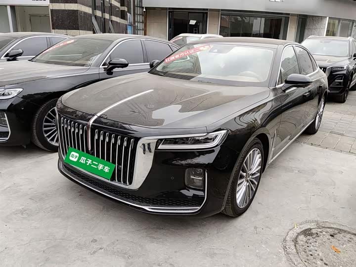 Фото 2 - Hongqi H9