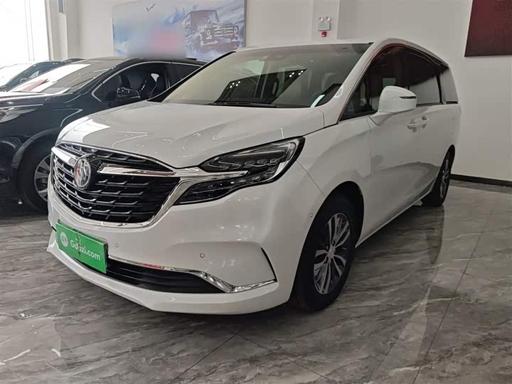 Фото 2 - Buick GL8 ES