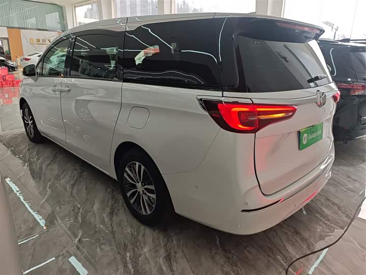 Фото 5 - Buick GL8 ES