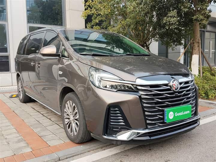 Фото 4 - Buick GL8 ES