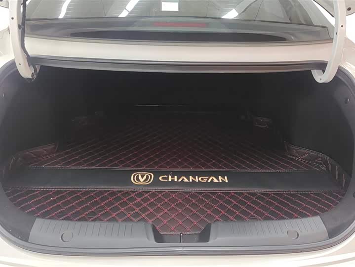Фото 4 - Changan Eado Plus
