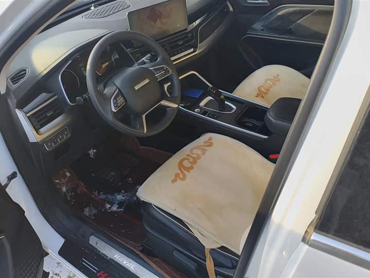 Фото 9 - Haval H6