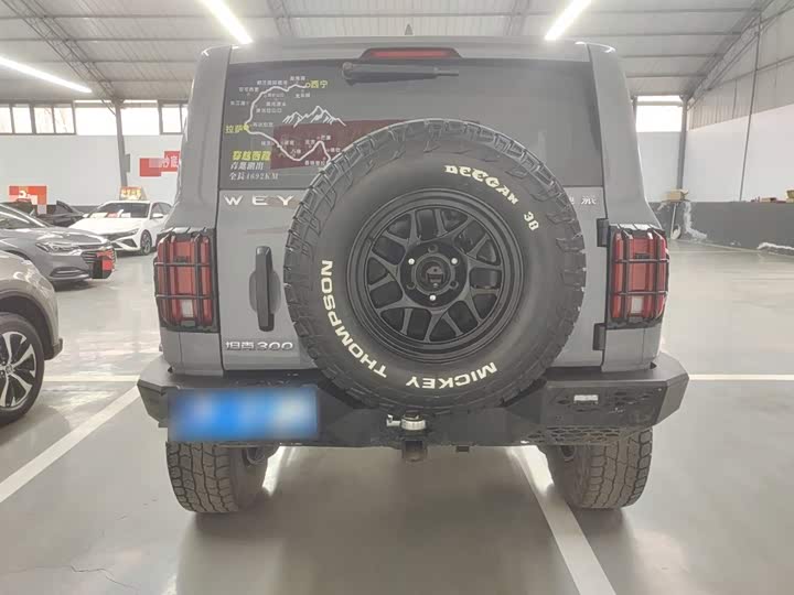 Фото 6 - Tank 300