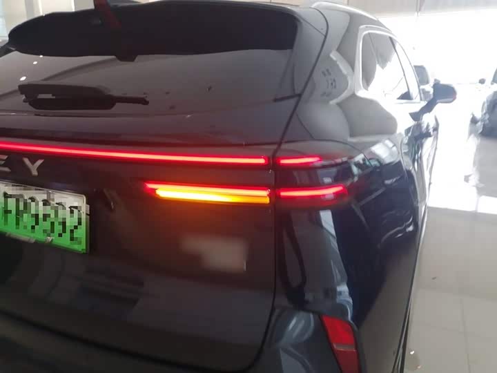 Фото 8 - Wey Mocca Hybrid