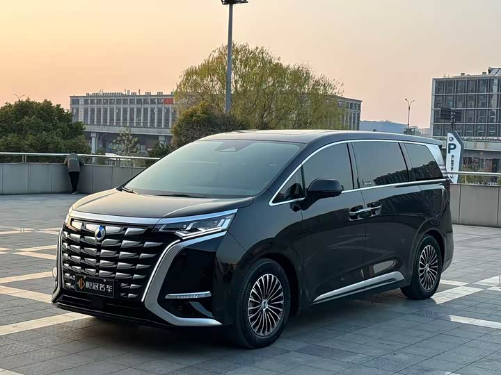 Фото 1 - Denza D9