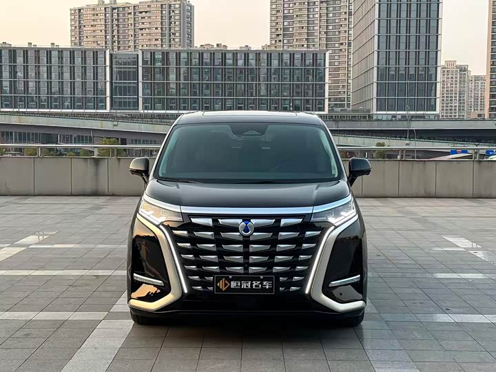 Фото 2 - Denza D9