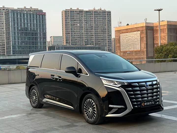 Фото 3 - Denza D9