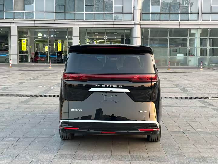 Фото 7 - Denza D9