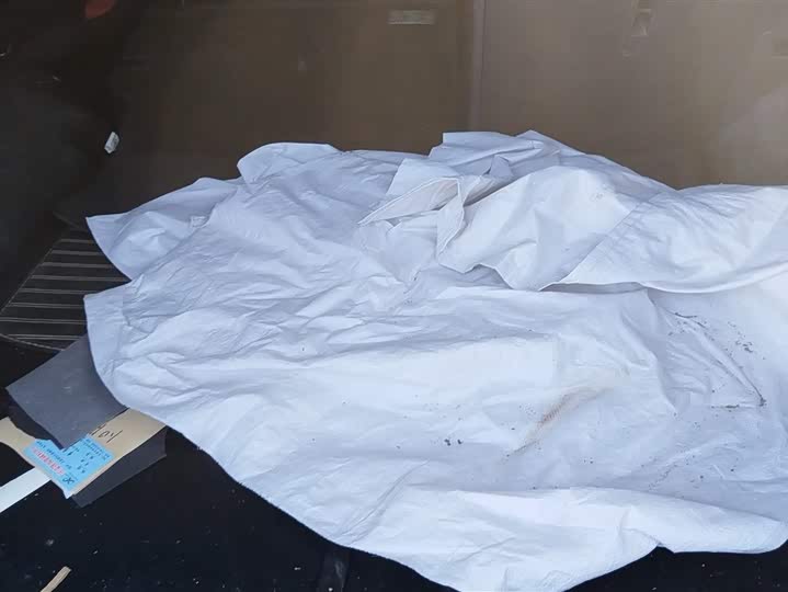 Фото 4 - Dongfeng Forthing T5 EVO