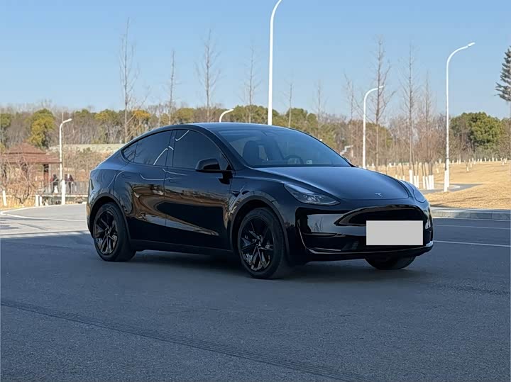 Фото 1 - Tesla Model Y